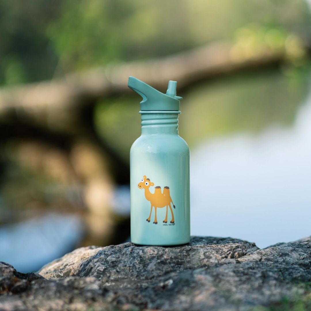 SteelIsh Trinkflasche 'Kamel' mintgrün 0,5 l