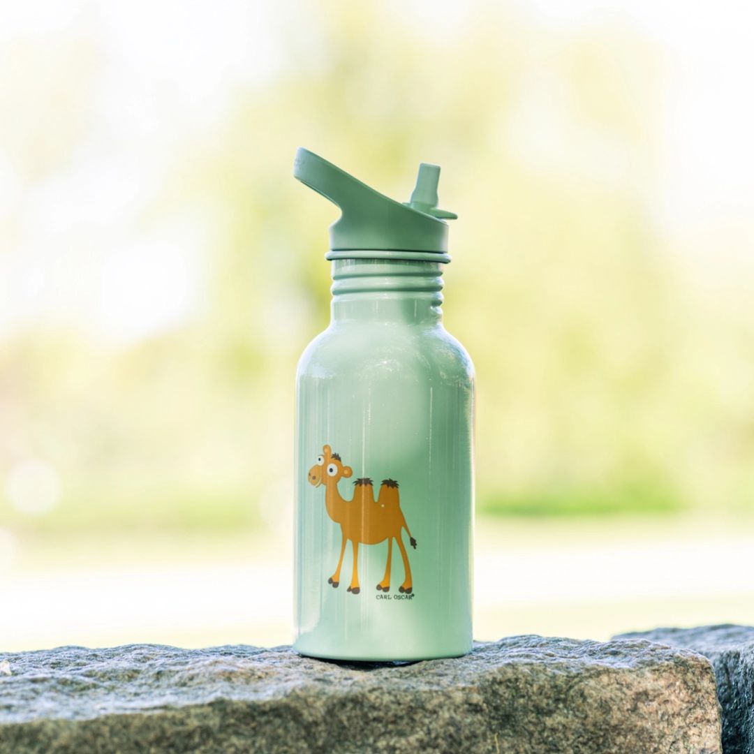 SteelIsh Trinkflasche 'Kamel' mintgrün 0,5 l