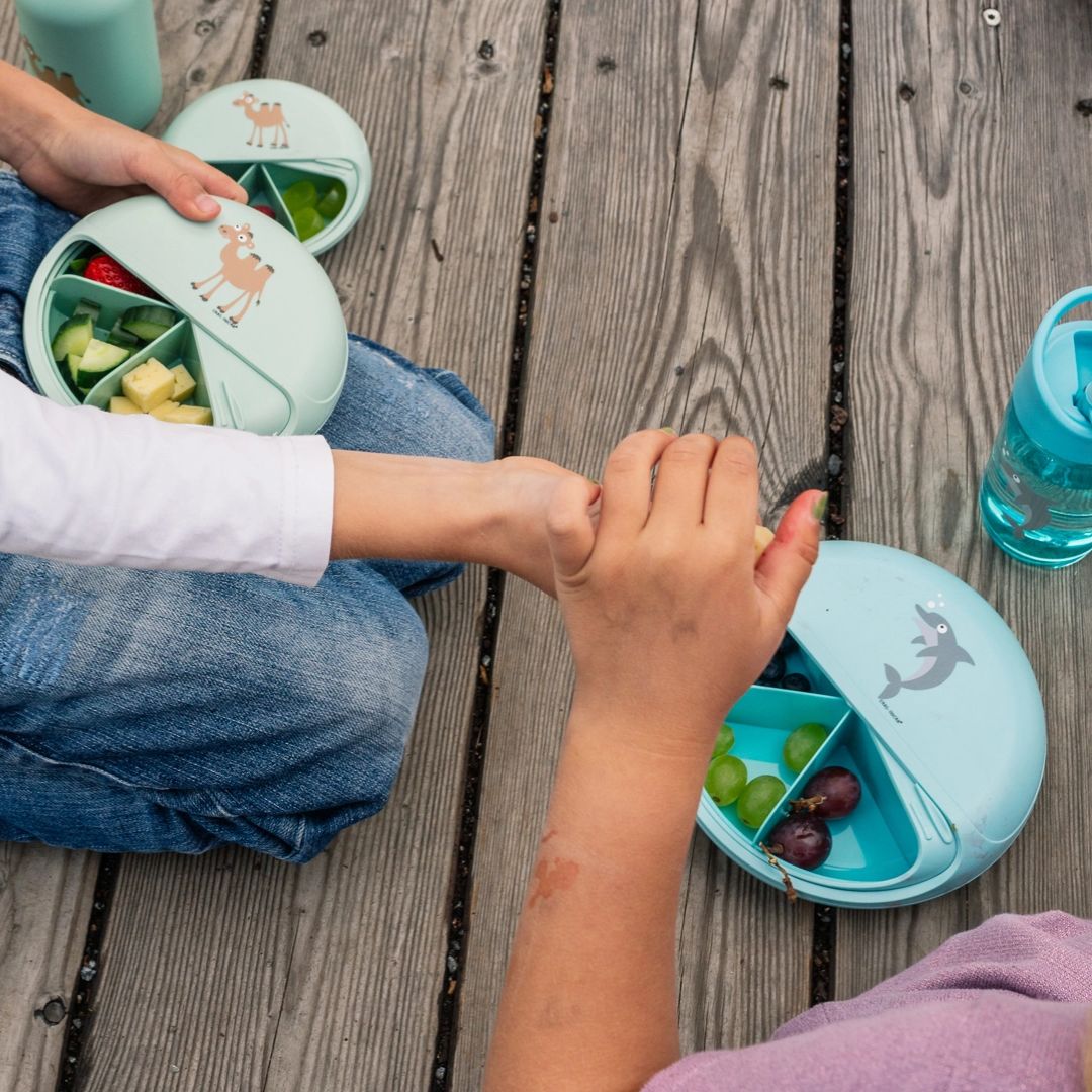 Snack Disc Kinder 'Delfin' blau 15 cm