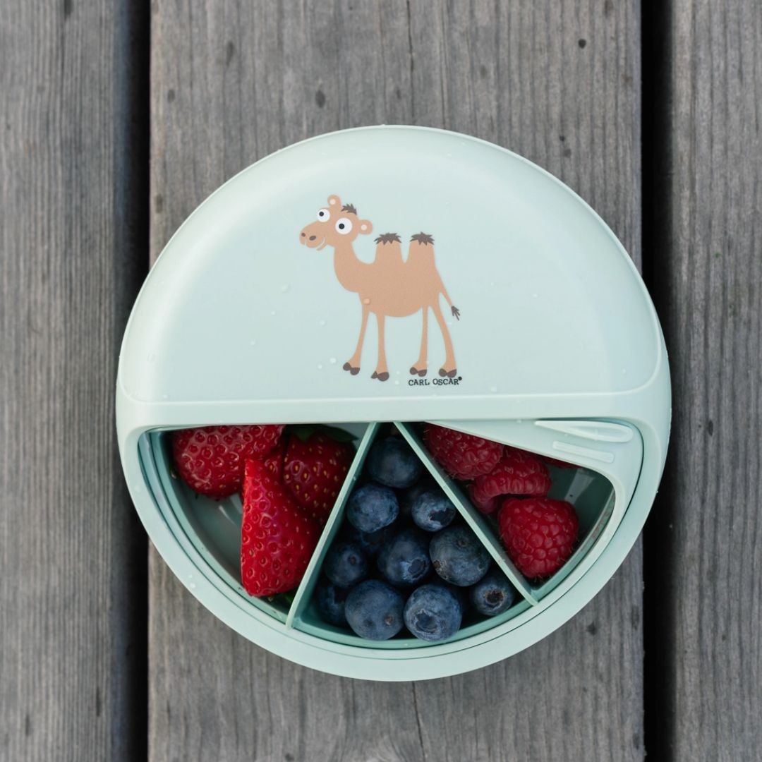 Snack Disc Kinder 'Kamel' mintgrün 15 cm