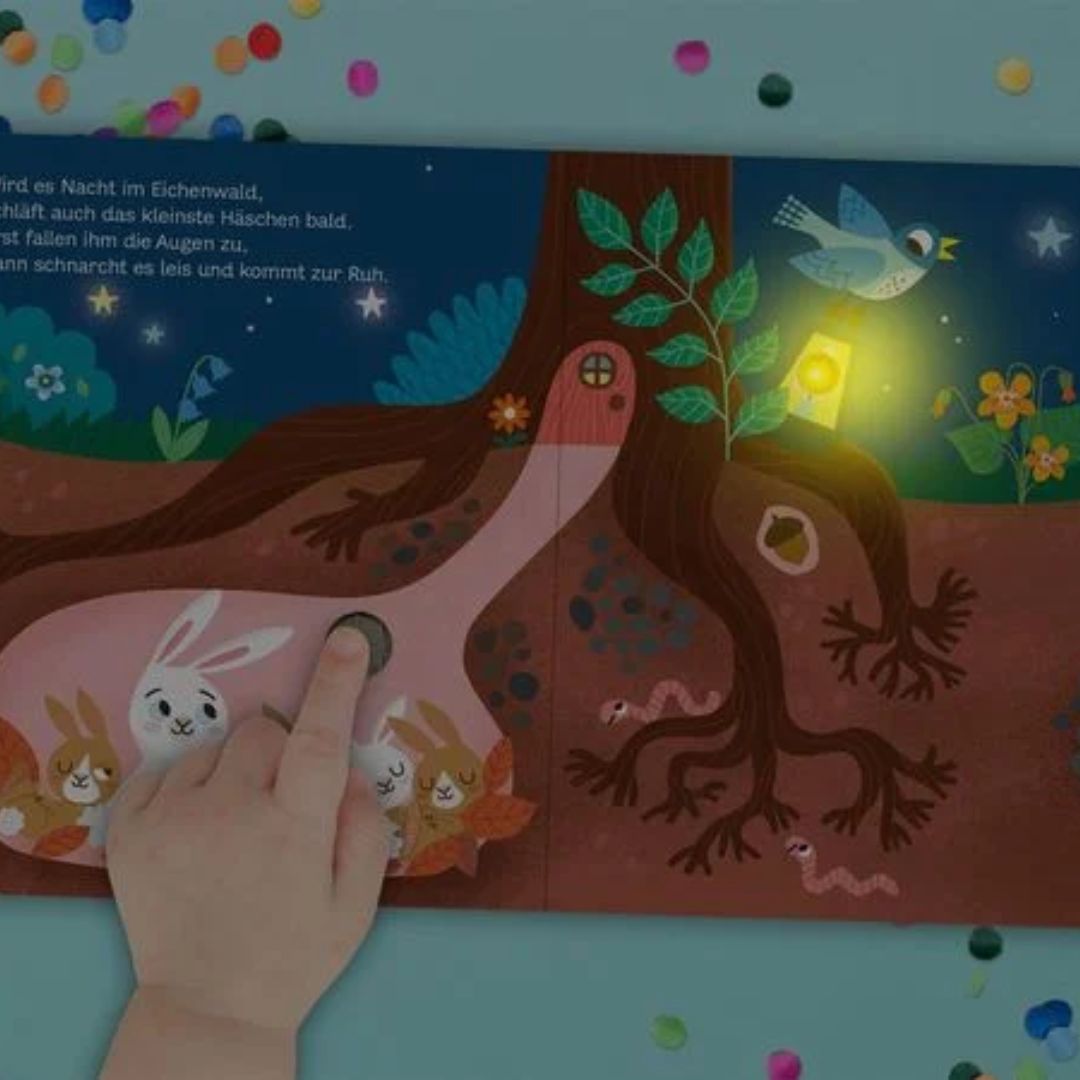 Mein blinkendes Soundbuch – Schlaft schön!