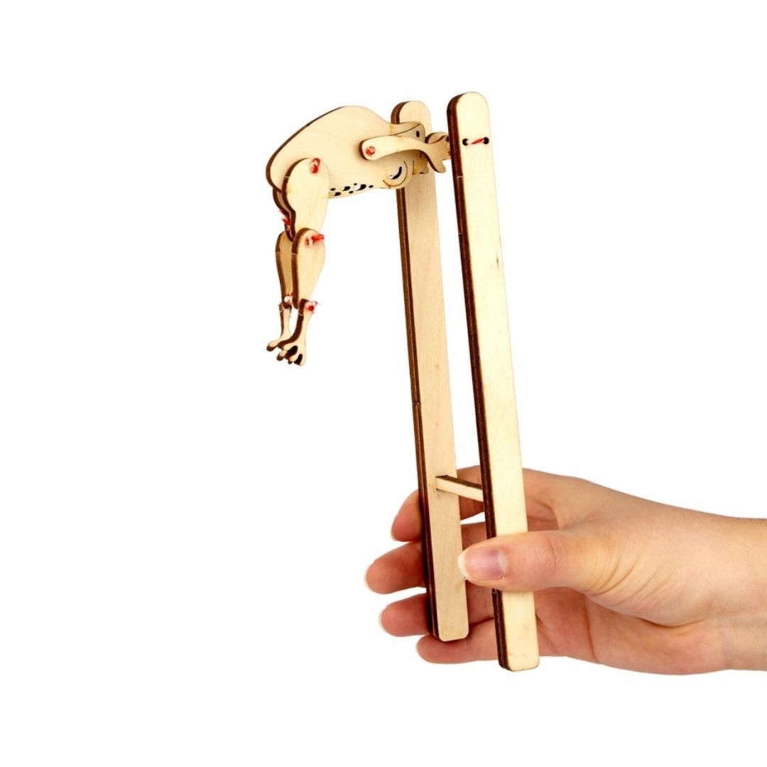 Akrobaten aus Holz - Dino