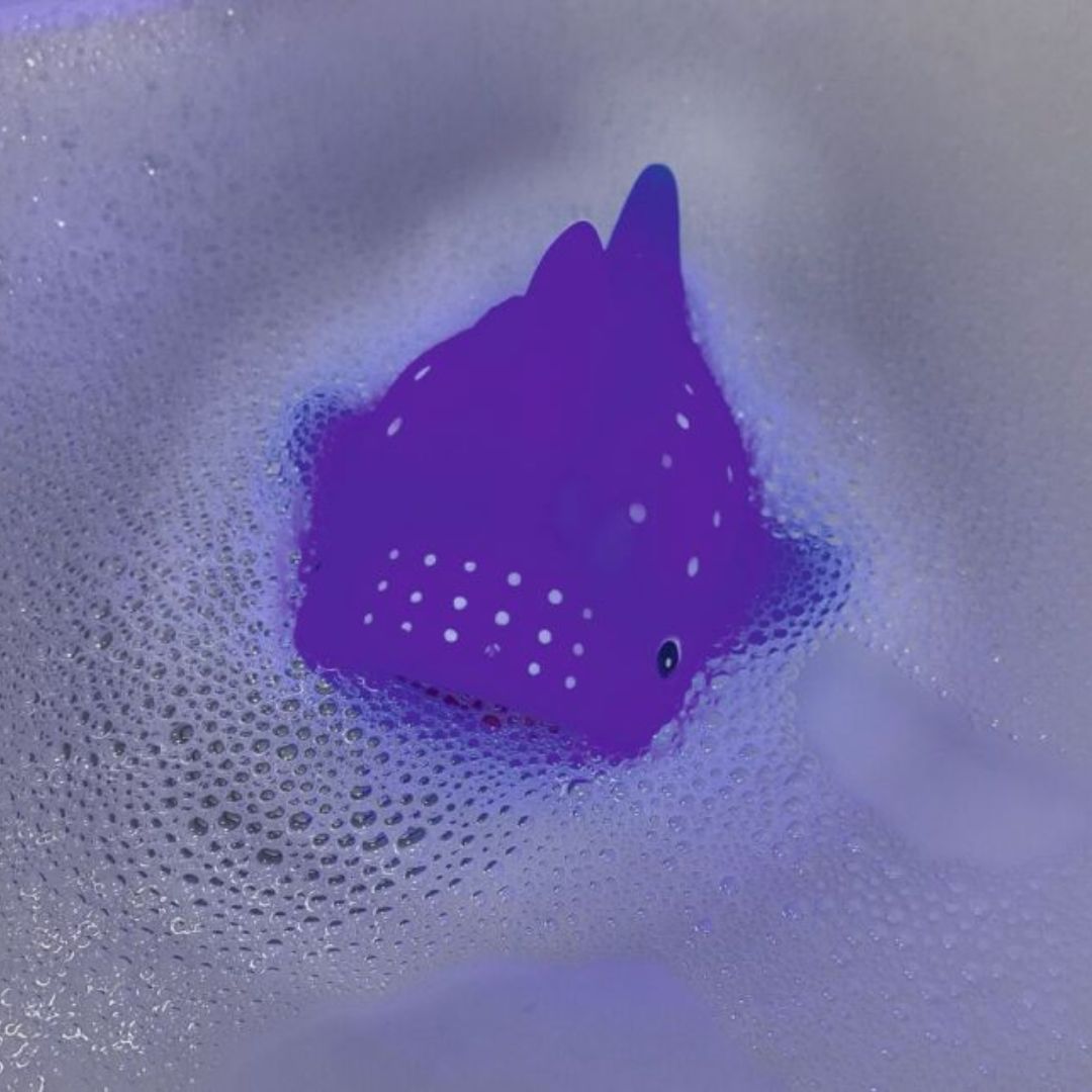 Leuchtendes Meerestier Orca