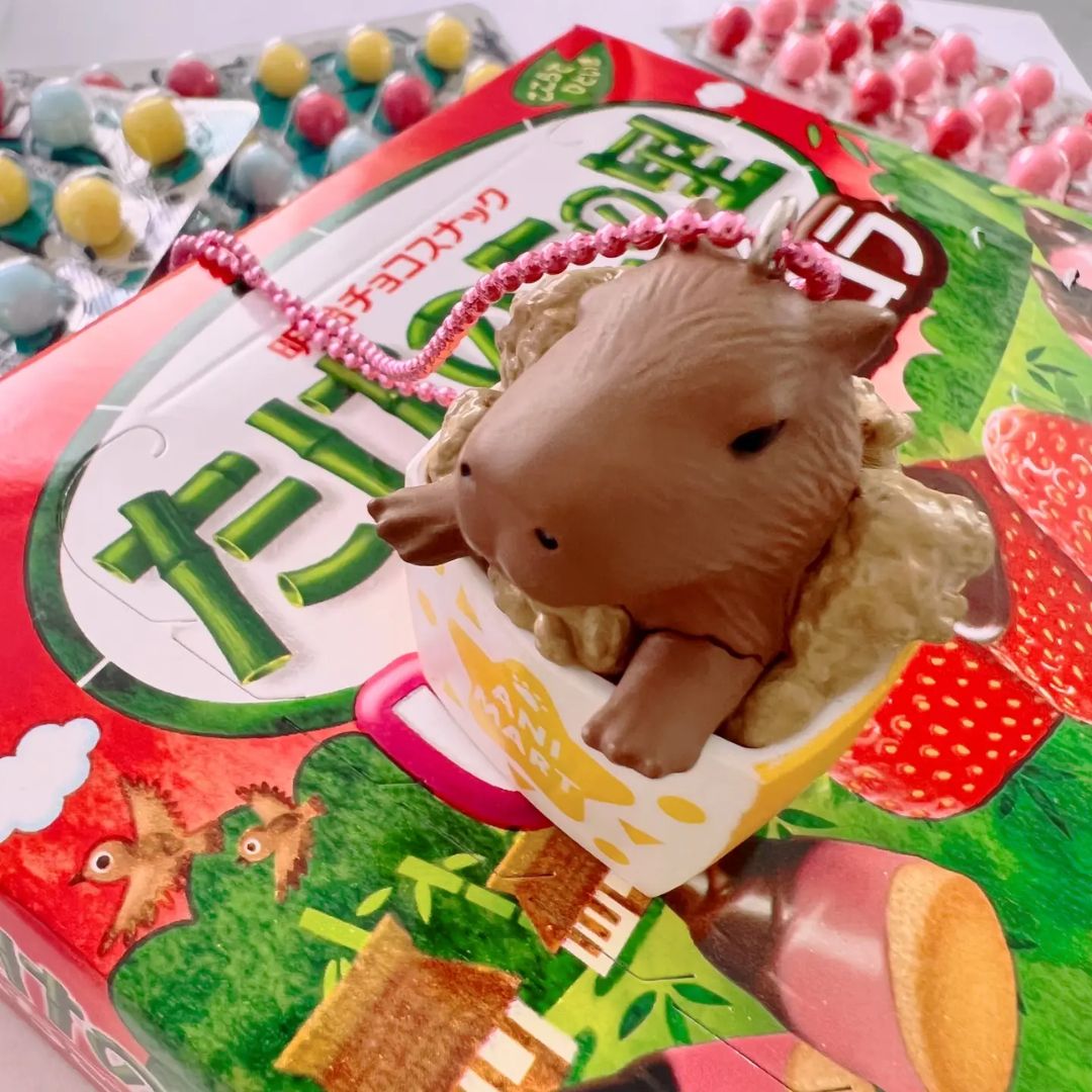 Deluxe Halskette in der Box 'Capybara'