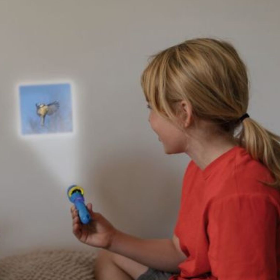 Diashow EXTRA 'Unsere Vögel'
