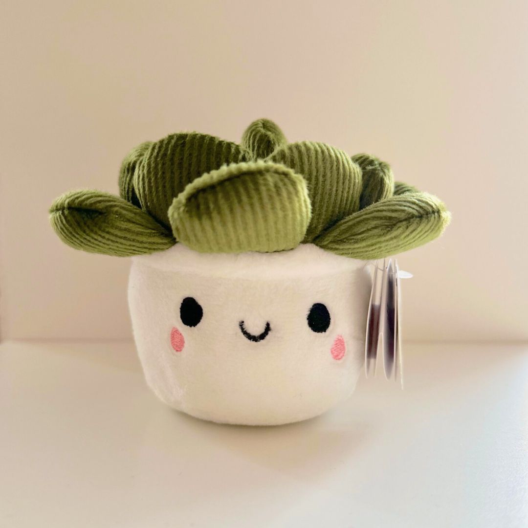 Plüsch Planties 'Sukkulente'