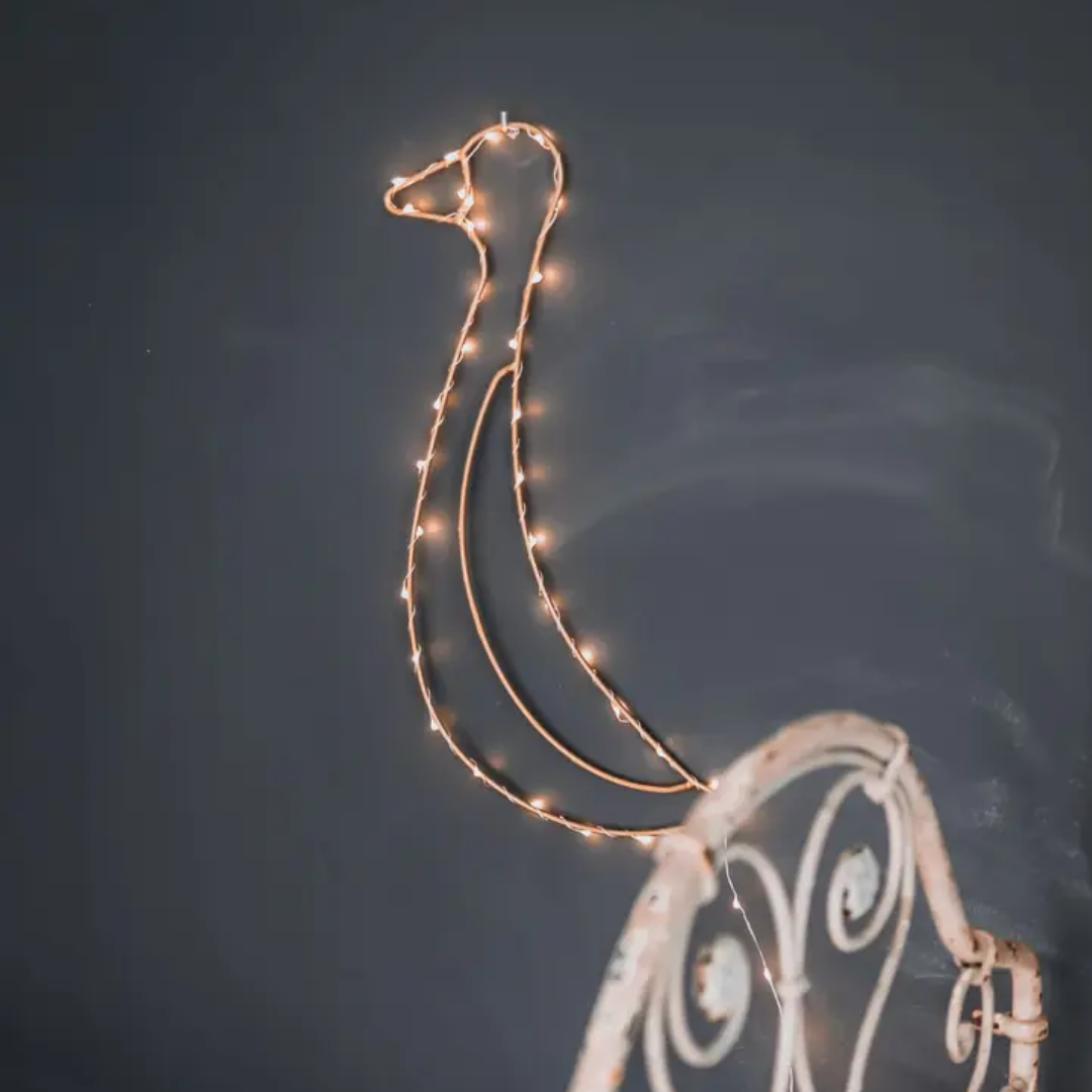 Magische Ente Lampe