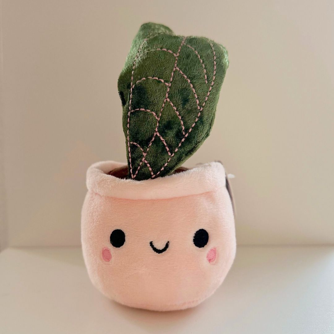 Plüsch Planties 'Fiederaralie'