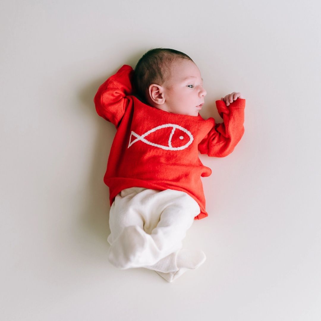 Baby Feinstrick-Pullover rot mit Korallenfisch