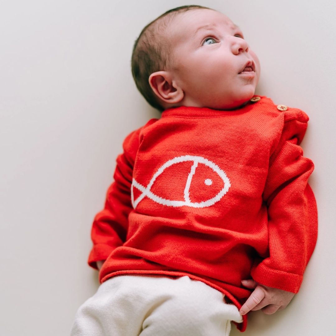 Baby Feinstrick-Pullover rot mit Korallenfisch