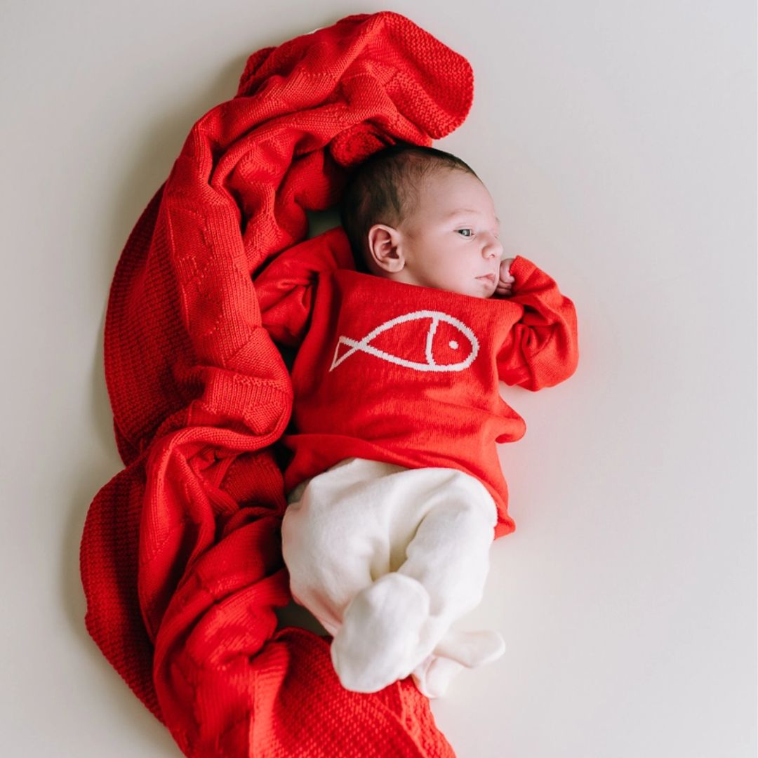 Baby Feinstrick-Pullover rot mit Korallenfisch