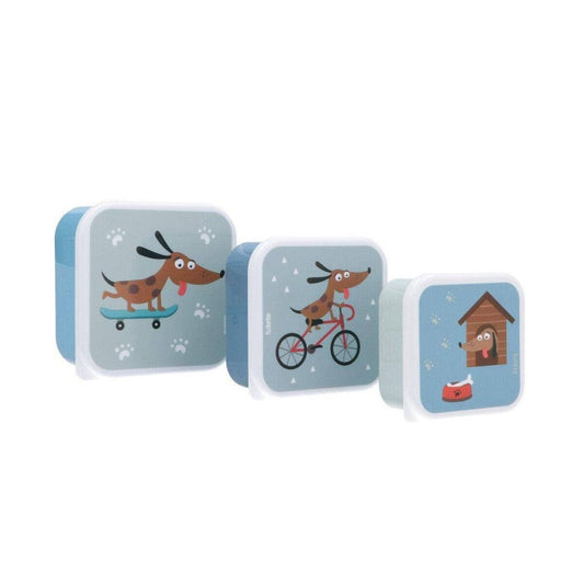 Set 3 Lunchboxen 'Skater-Dackel'