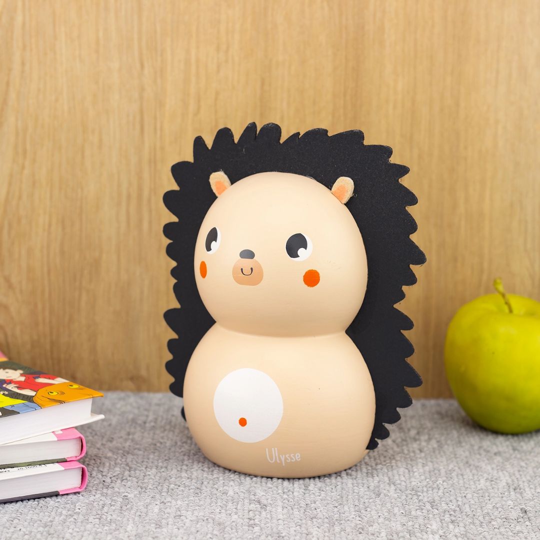 Sparschwein Igel