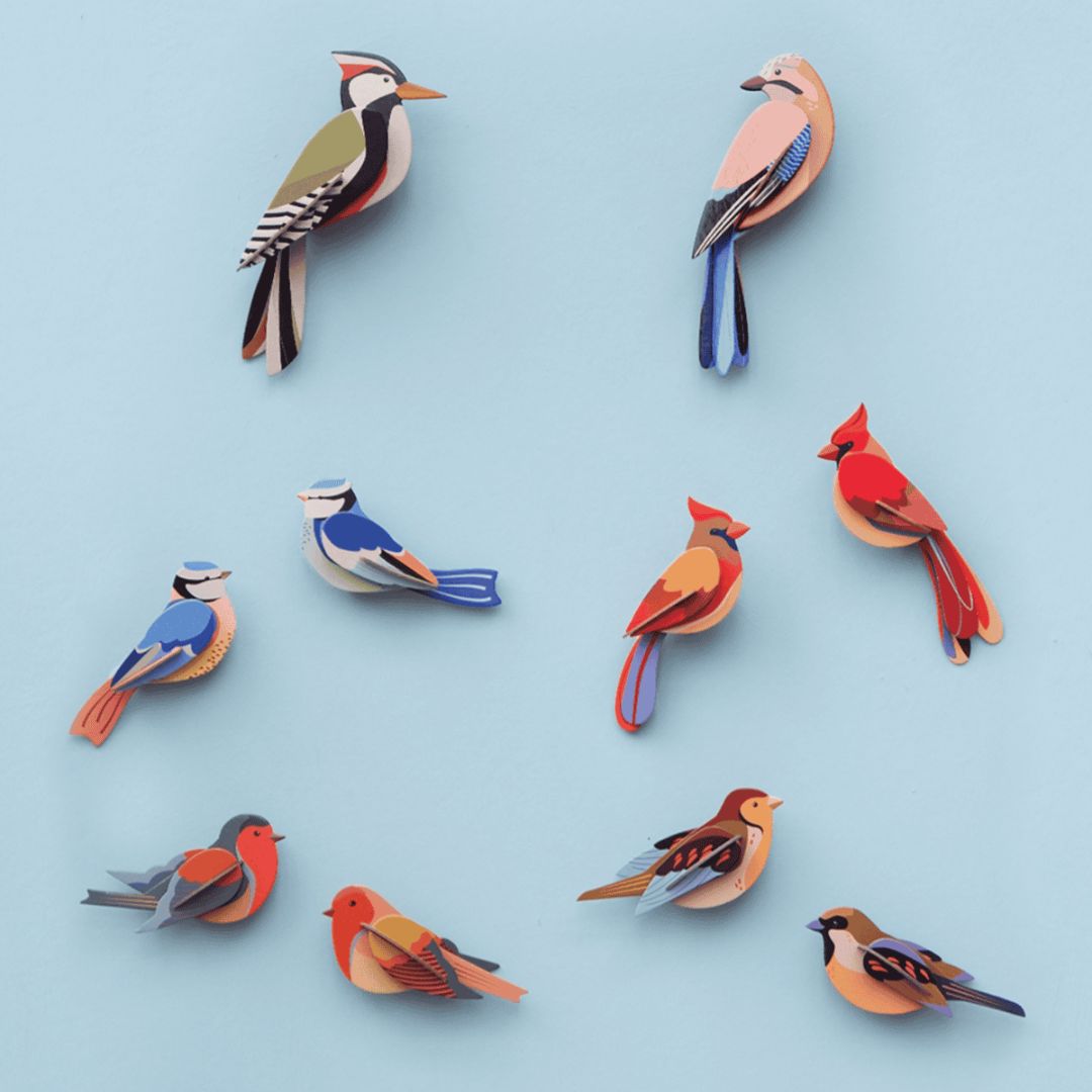 Studio Roof | Wall Art 'Buntspecht'