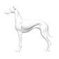 3D Hund personalisierbar mit Text
