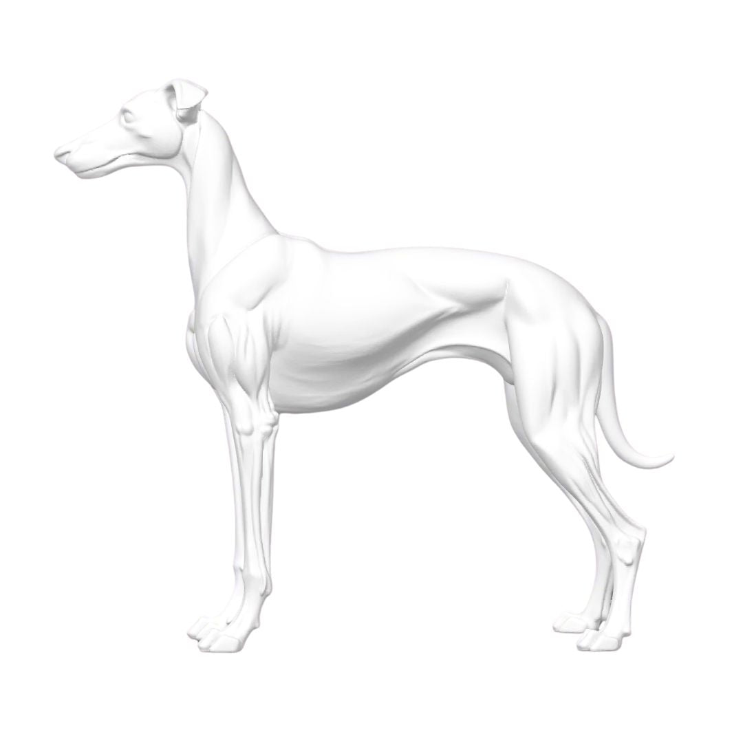3D Hund personalisierbar mit Text