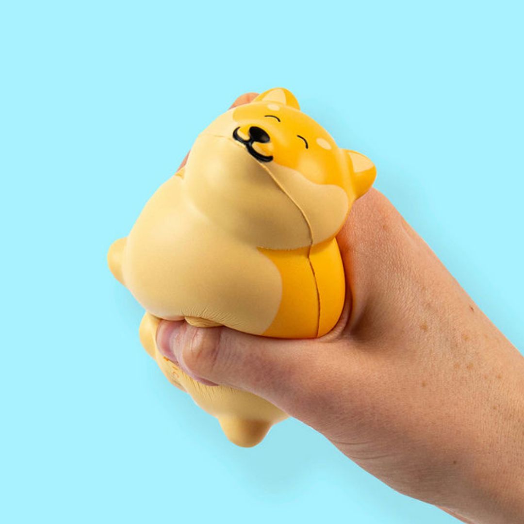 Antistress Squishy 'Chonky Boi Stressball'