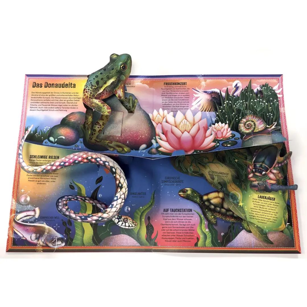 Kinderbuch 'Das unglaubliche Pop-up-Buch – Am Wasser'