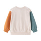 Sweatshirt Colorblock mit Brusttasche 'Beary Funny'