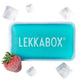 LEKKABOX Mini Kühlakku für Kühltaschen 'Rectangle'