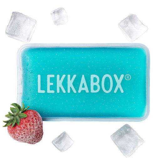 LEKKABOX Mini Kühlakku für Kühltaschen 'Rectangle'