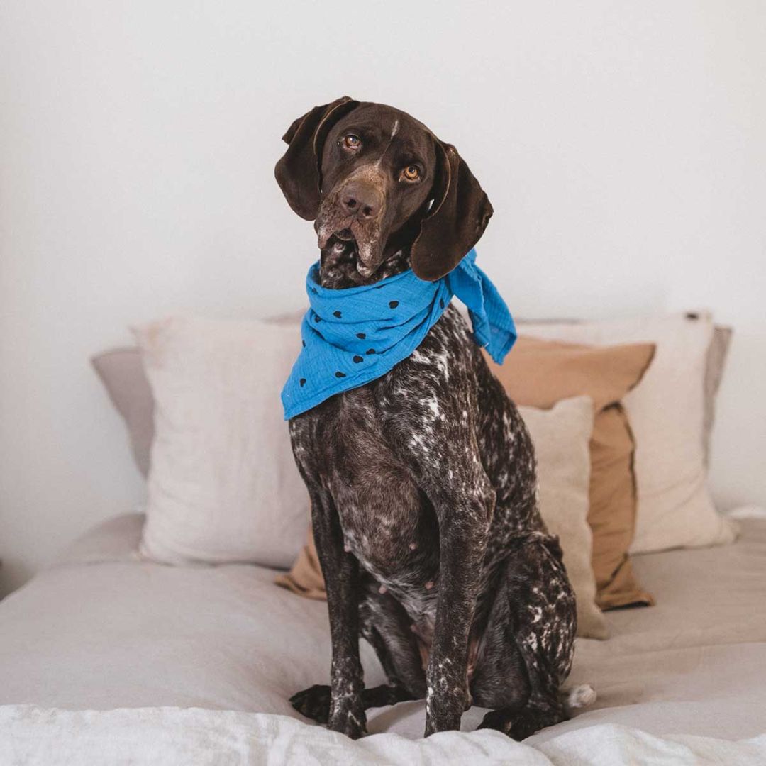 Schaltuch aus Musselin 'BIANCA Herz-Print in Greek Blue' 70 x 70 cm