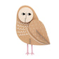Studio Roof | Wall Art Eule 'Otto Owl'