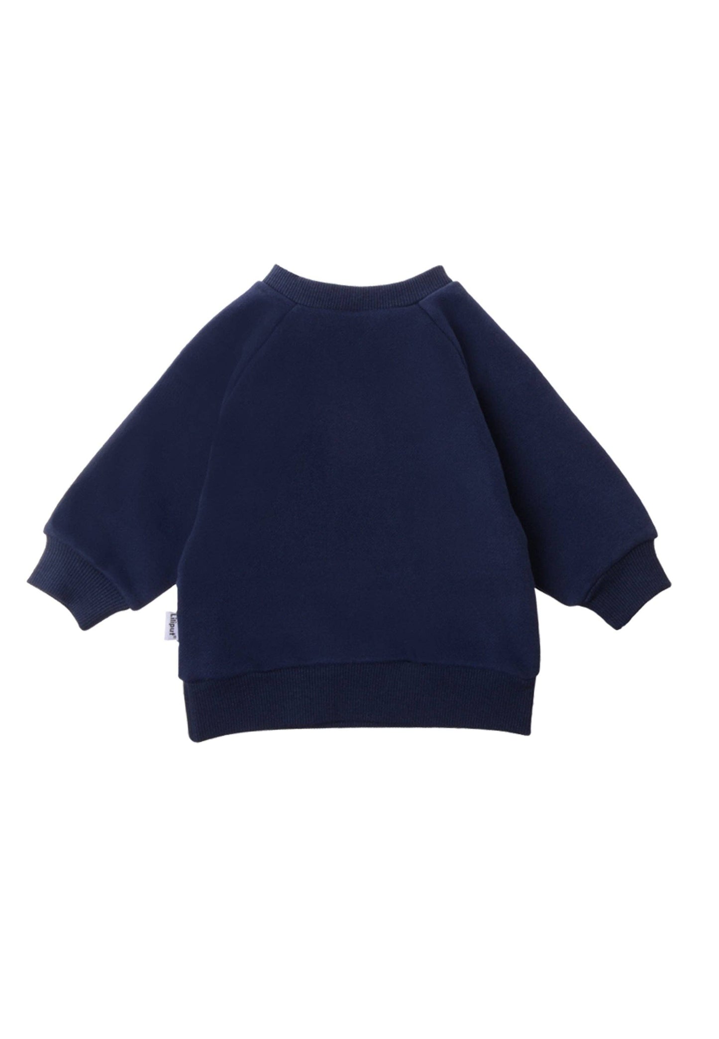 Sweatshirt in blau mit Print "Stegosaurus"