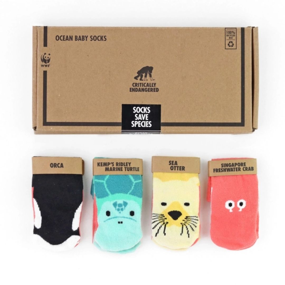 Babysocken Geschenkset Tiere aus dem Meer 4 Pack