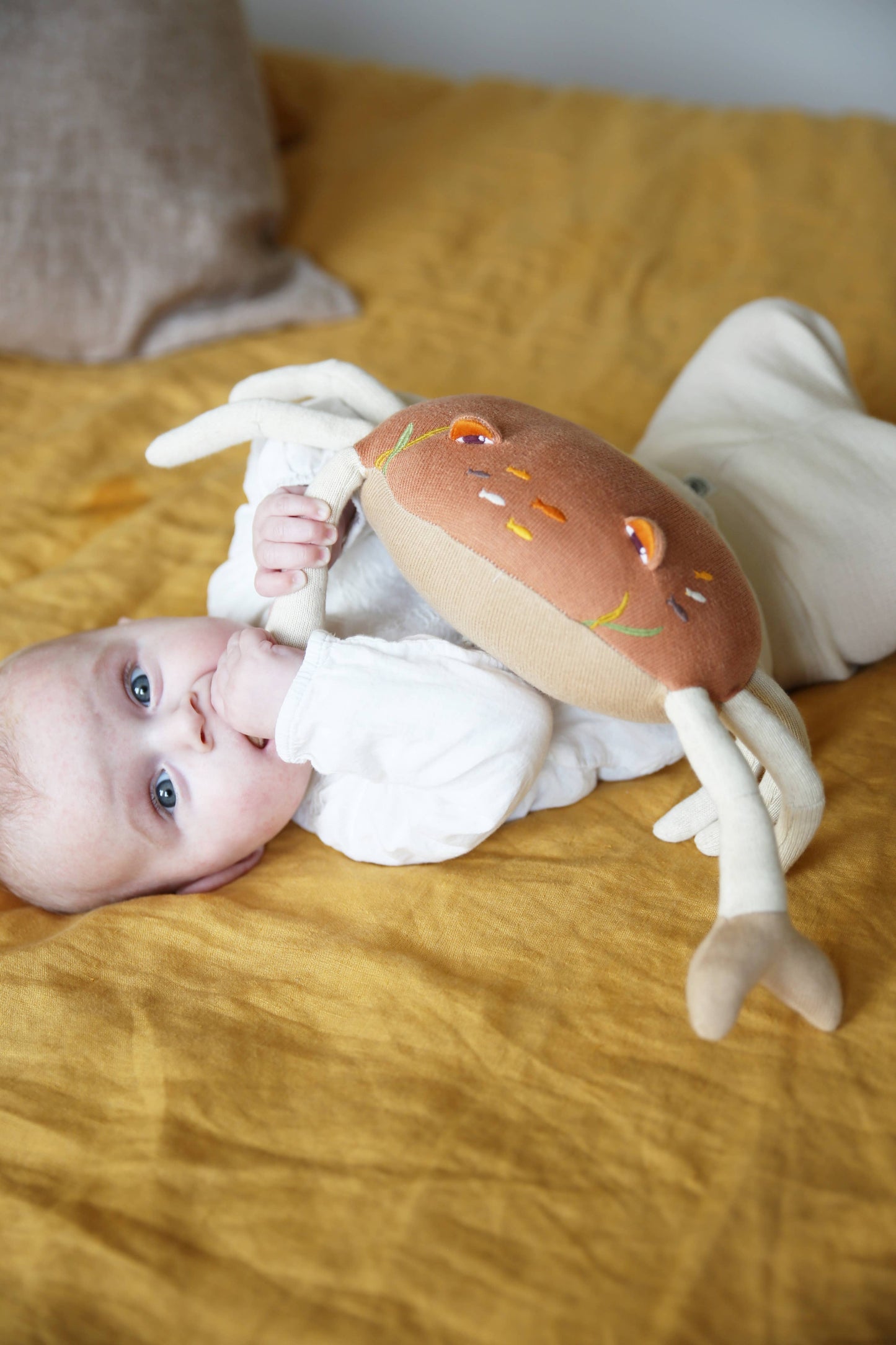 Musikalisches Plüschtier Krabbe sand