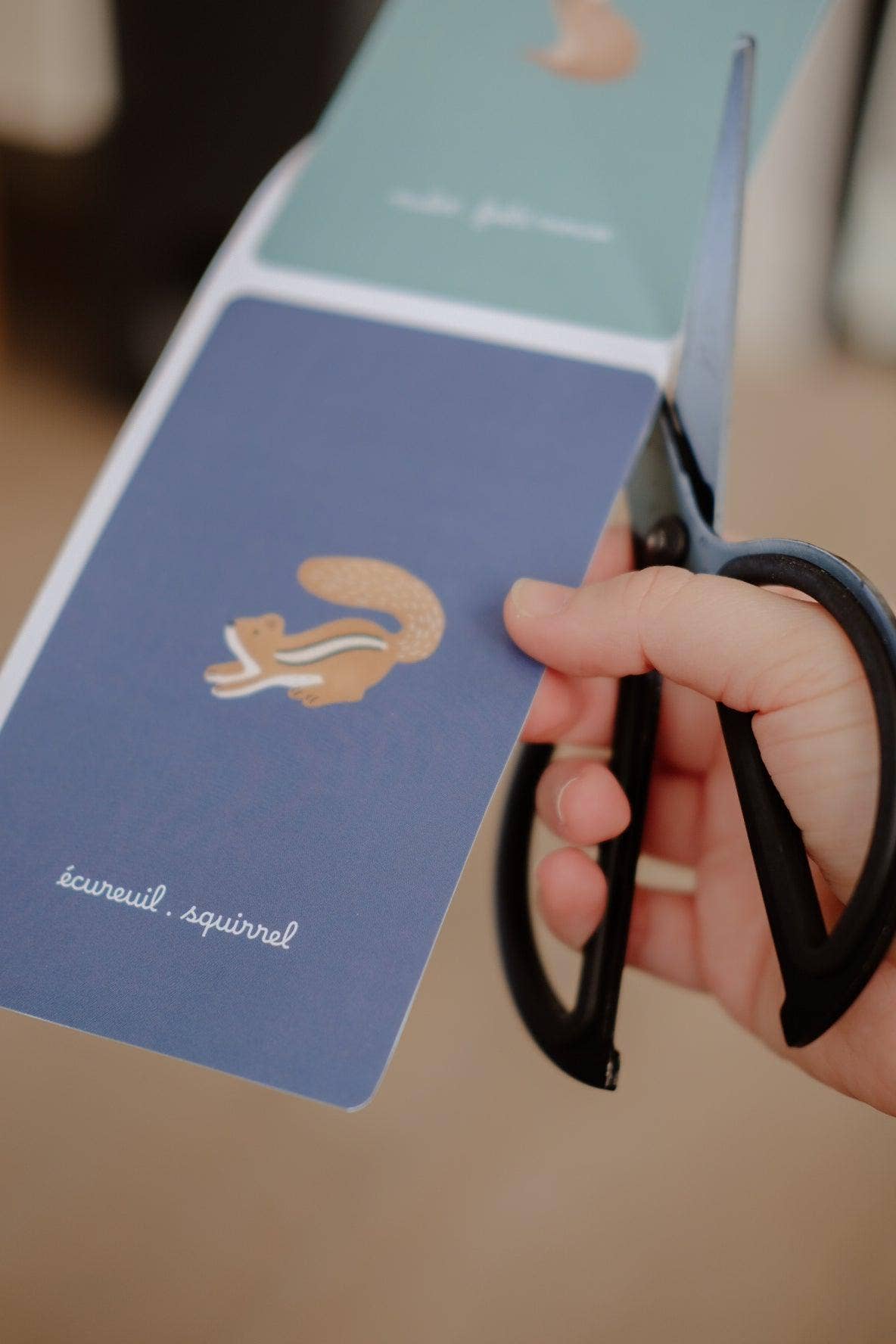 Magnetspiel Waldtiere