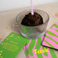Ask & Task Kartenspiel 'Birthday Edition'