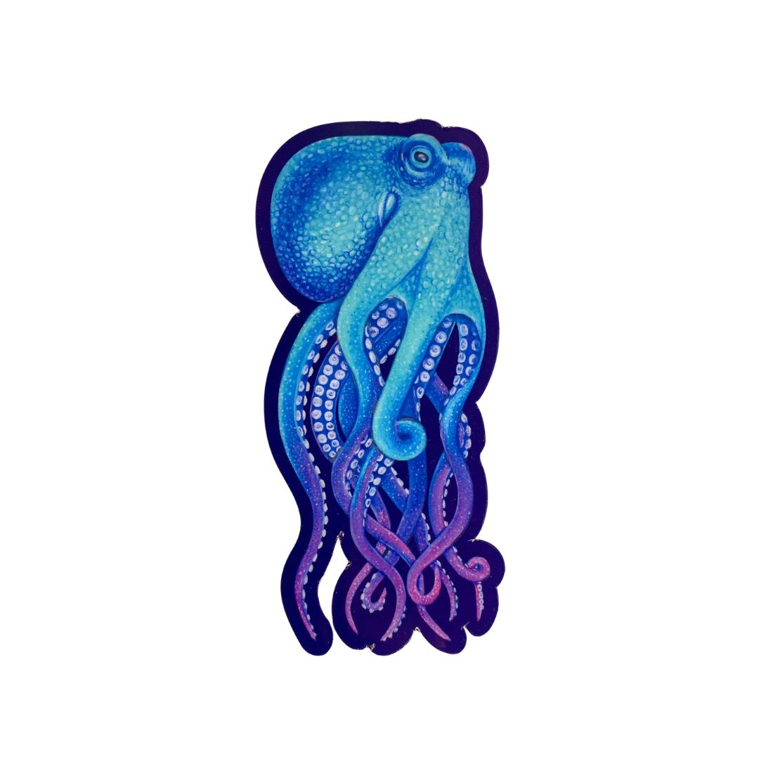 Kühlschrank Magnet 'Octogalaxy'