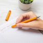 Erasable Gel Pens 'Capybara'