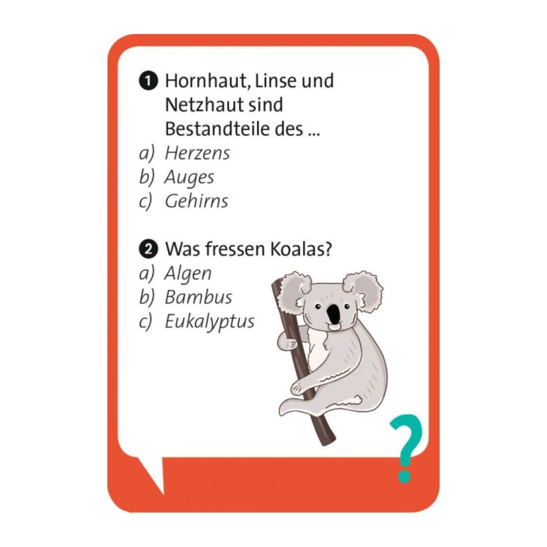 Pocket Quiz Junior - Schlaumeier