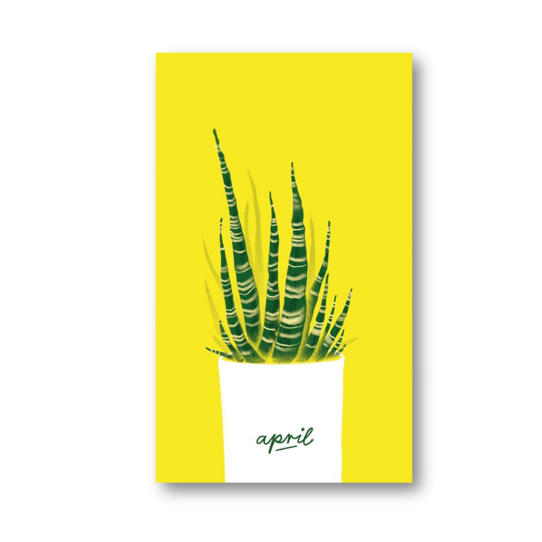 Alle Jahre Superpostkarten-Kalender 'Flora'