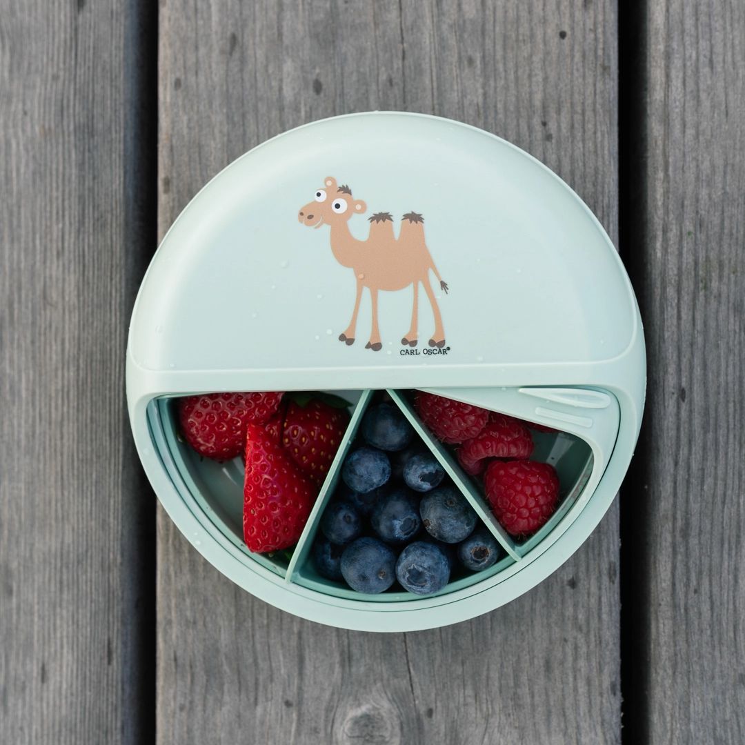 Bento Disc Lunchbox Kinder 'Kamel' mintgrün 18 cm