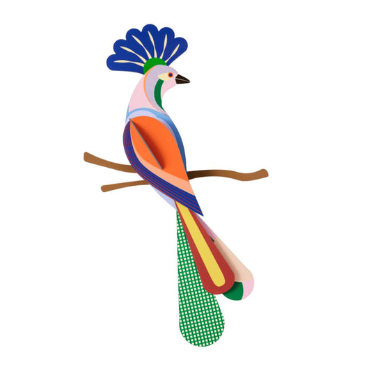 Studio Roof | Wall Art 'Paradiesvogel-Tinjil'