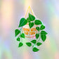 Suncatcher-Aufkleber 'Grow With The Flow'