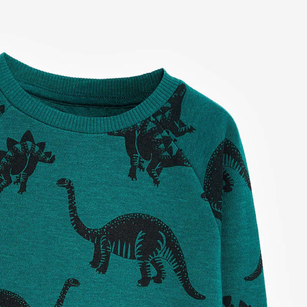 Langärmliges Dinosaurier-Sweatshirt grün