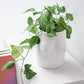 Handgemalte Blumenvase 'TITS' weiß
