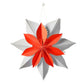 Weihnachtsstern 'Poinsettia' weiß/rot